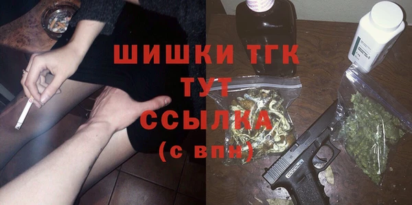 дживик Белокуриха