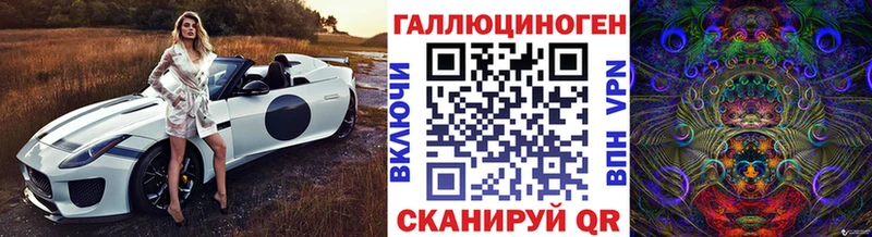 купить   Кузнецк  Галлюциногенные грибы Psilocybe 